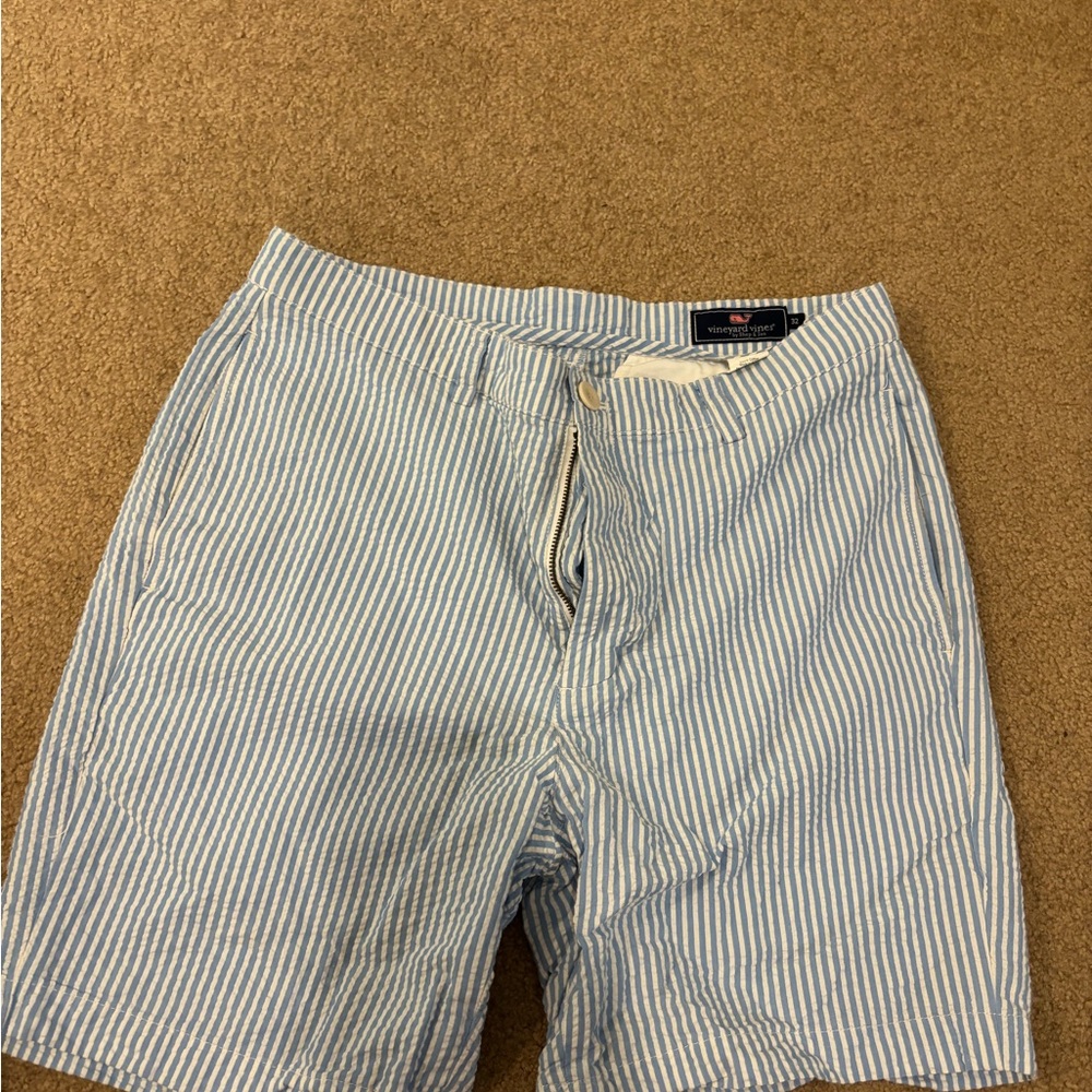 Vineyard Vines Blue and White Striped Shorts (size 32)